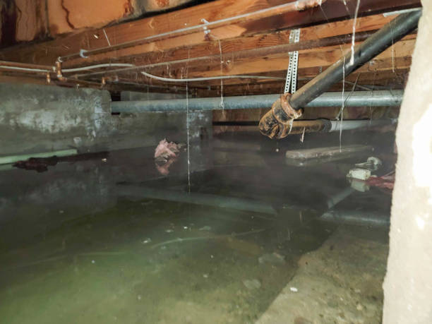 Best Water damage repair service  in Decherd, TN