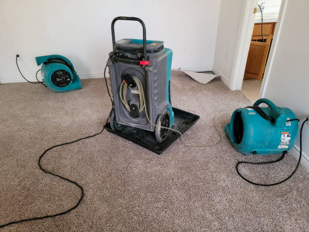 Best Water damage restoration near me  in Decherd, TN
