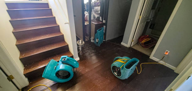 Best Water damage cleanup near me  in Decherd, TN