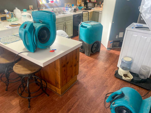Best Professional water damage repair  in Decherd, TN