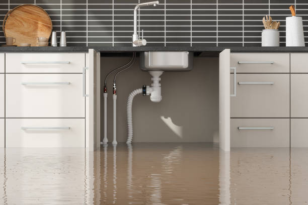 Best Ceiling water damage repair  in Decherd, TN