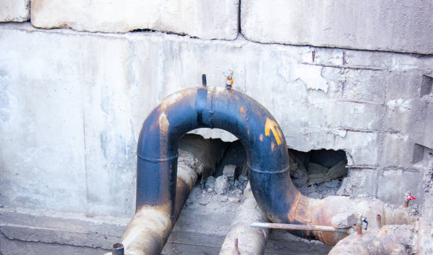 Best Water damage contractors near me  in Decherd, TN