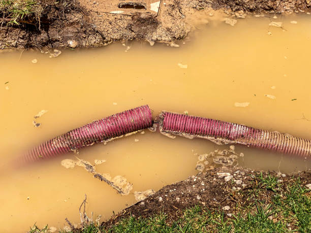 Best Flooded house restoration  in Decherd, TN