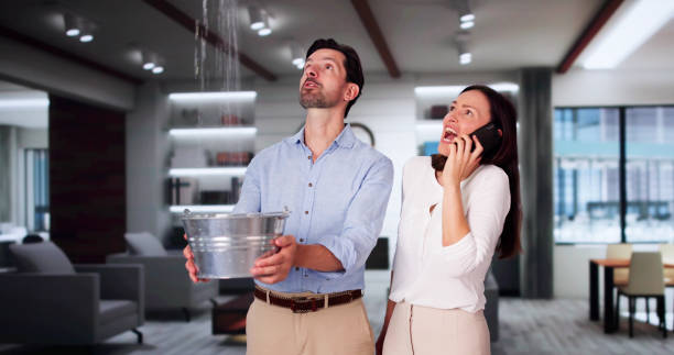 Best Water damage restoration near me  in Decherd, TN